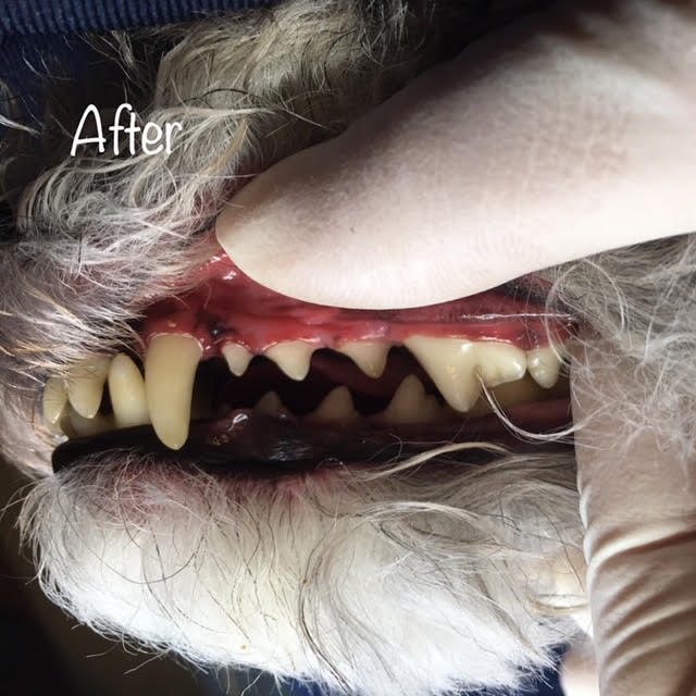 After After