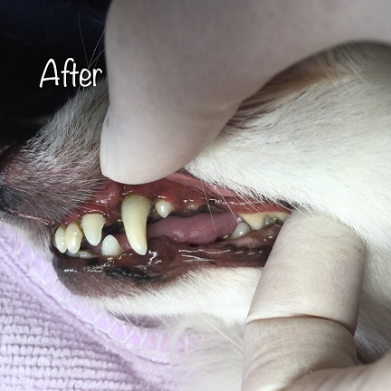 After After