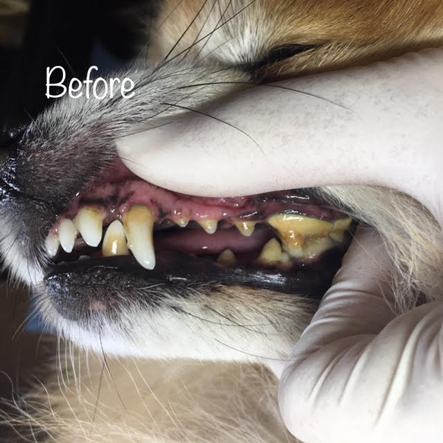 Before Before