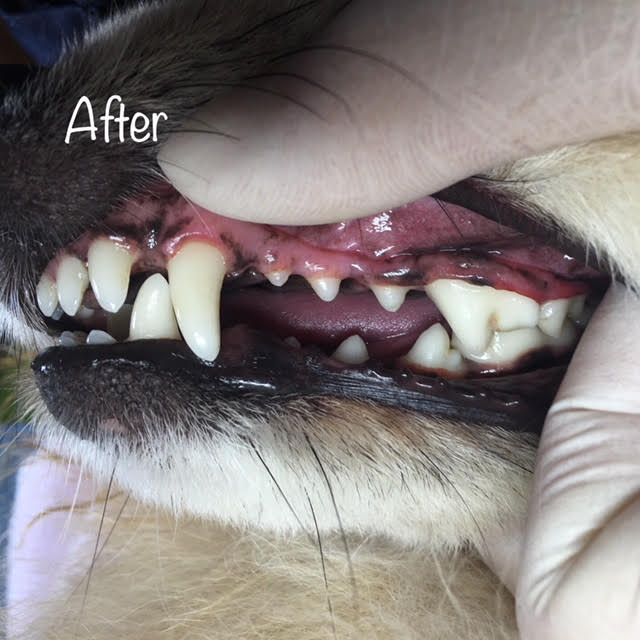 After After