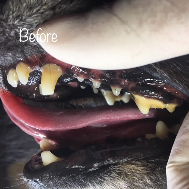Before Before