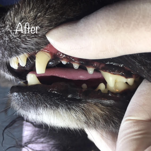 After After