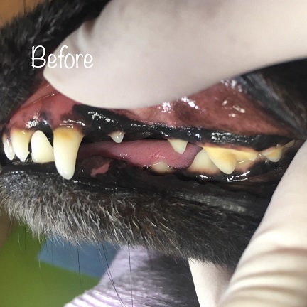 Before Before