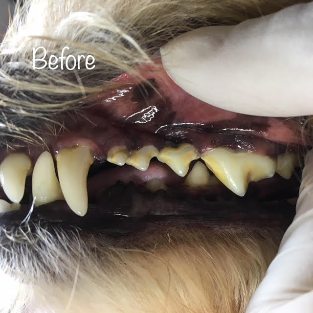 Before Before