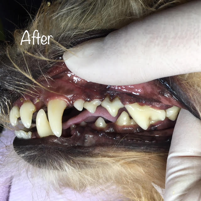 After After
