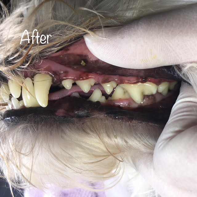 After After