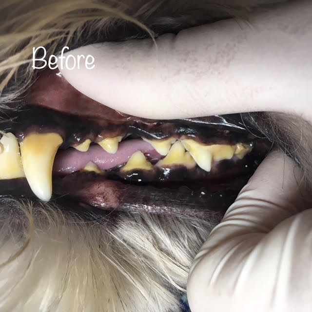 Before Before