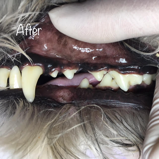 After After