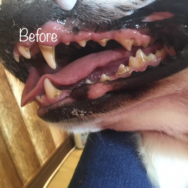 Before Before