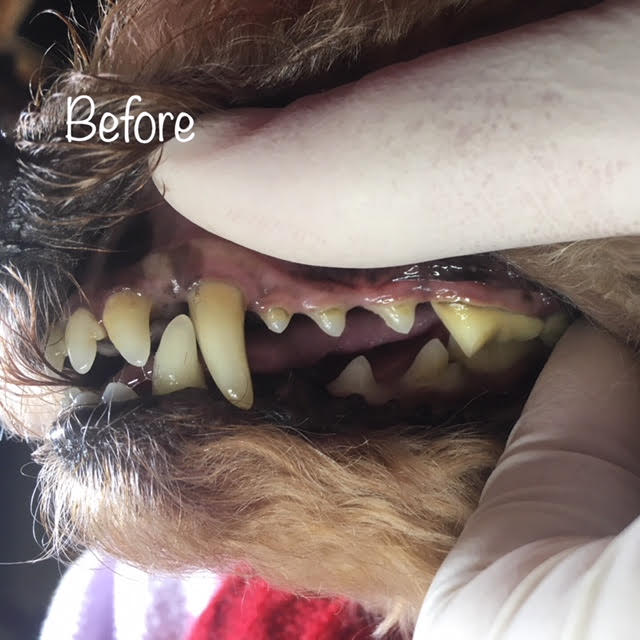 Before Before