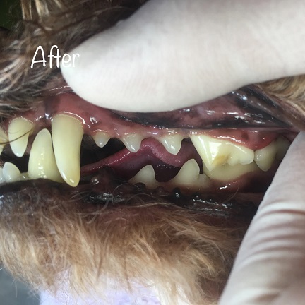 After After