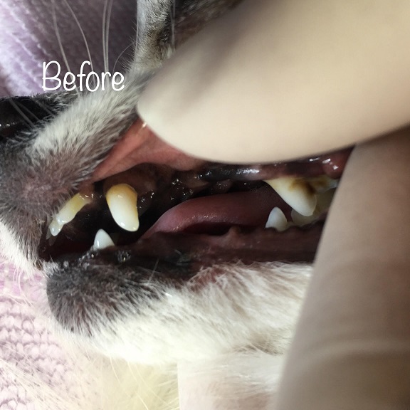 Before Before
