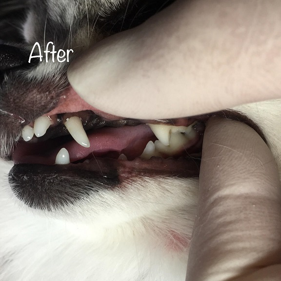 After After