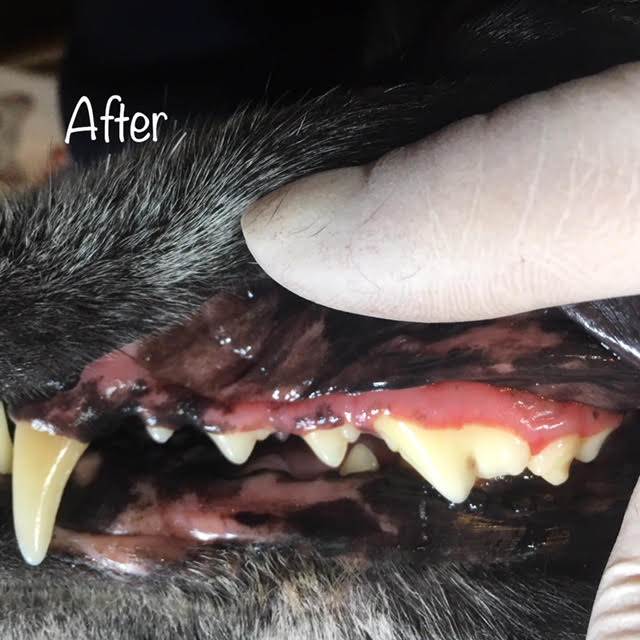After After