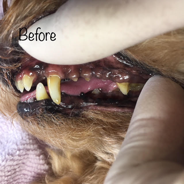 Before Before