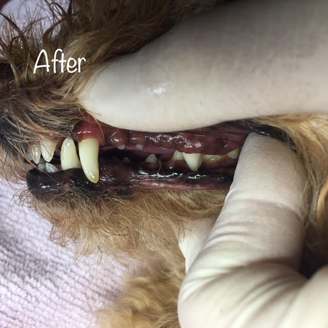 After After