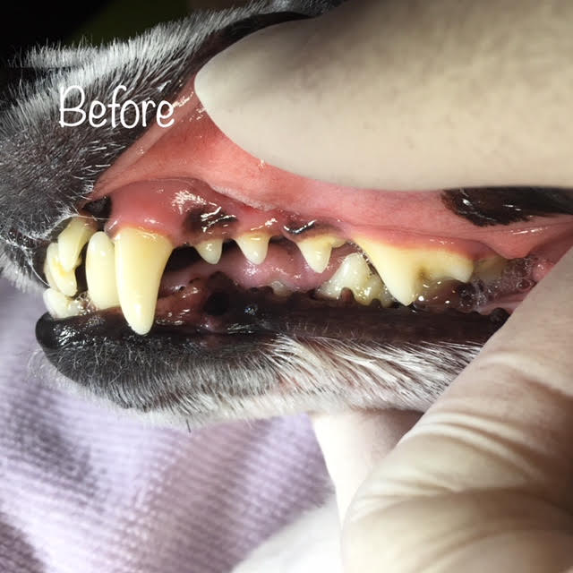 Before Before