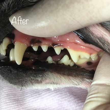 After After
