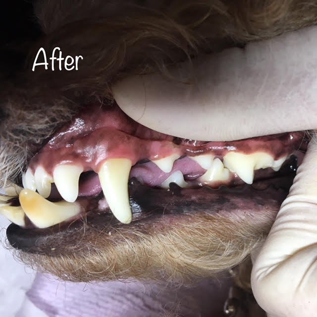 After After