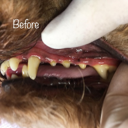 Before Before