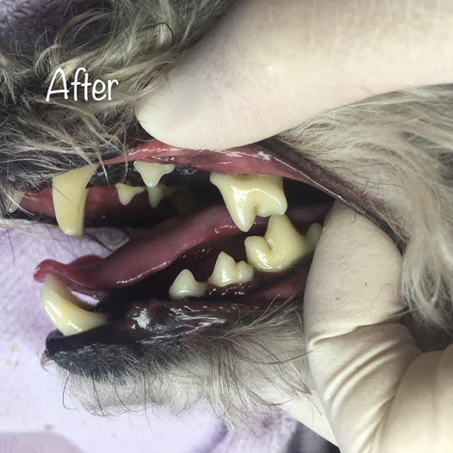 After After