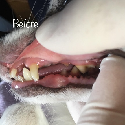 Before Before