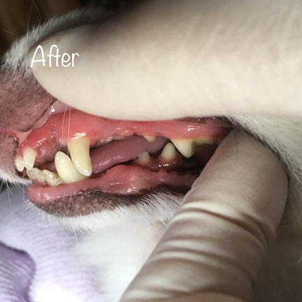 After After