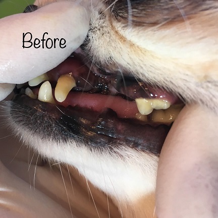 Before Before