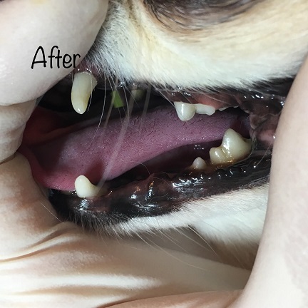 After After