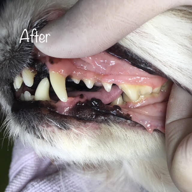 After After