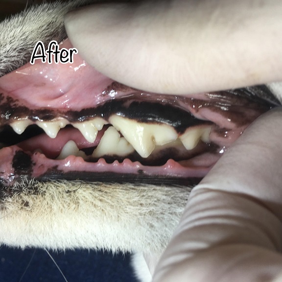After After