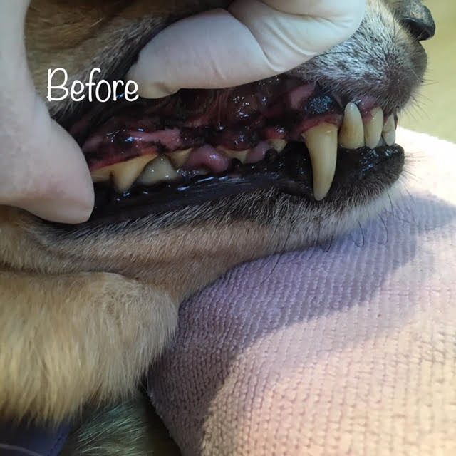 Before Before