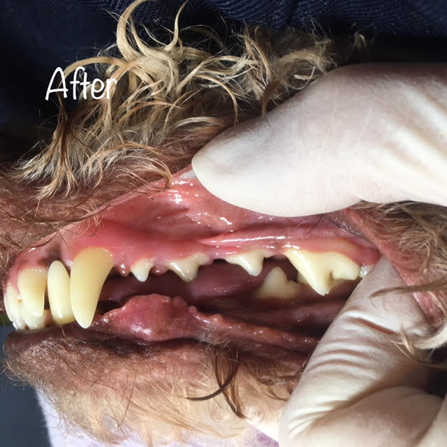 After After