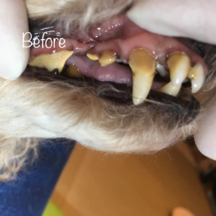 Before Before