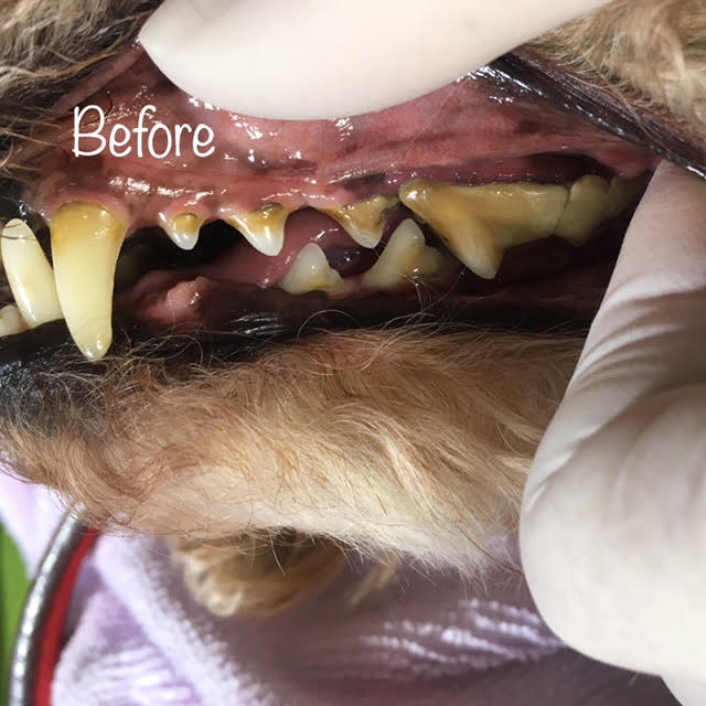 Before Before