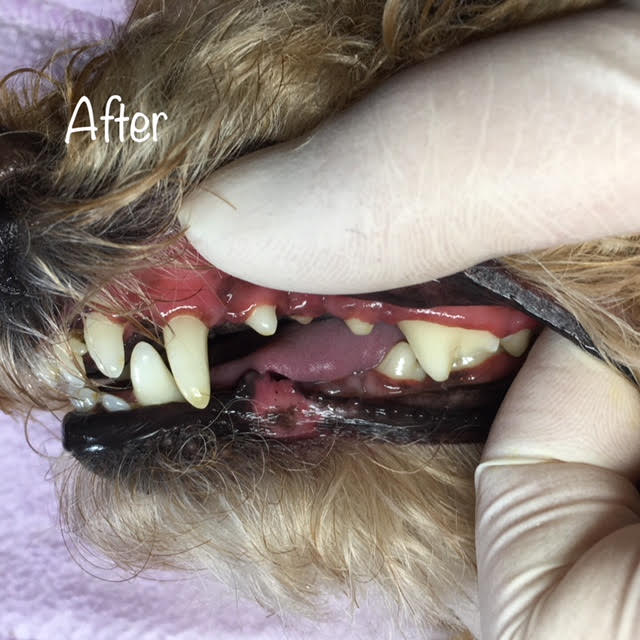 After After