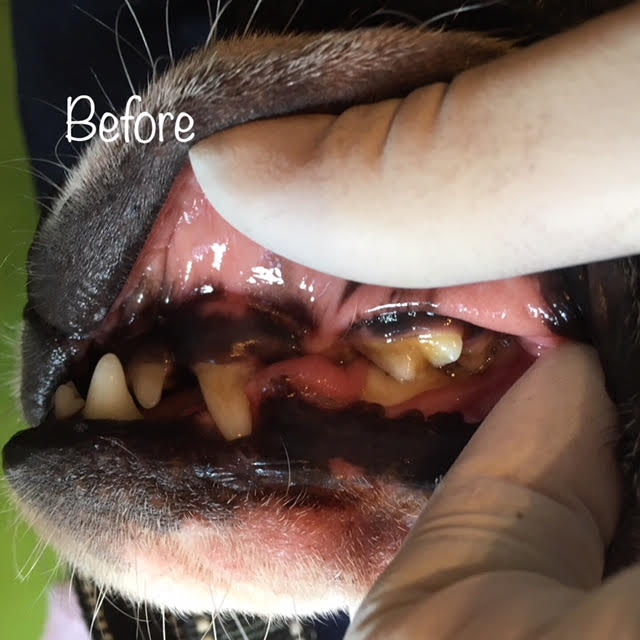 Before Before
