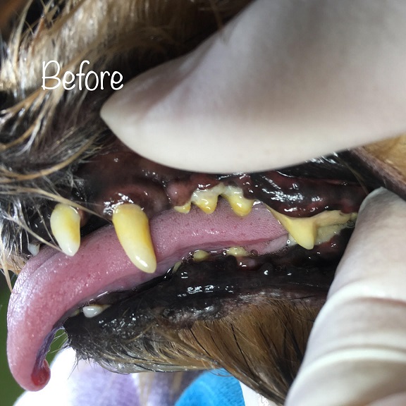 Before Before