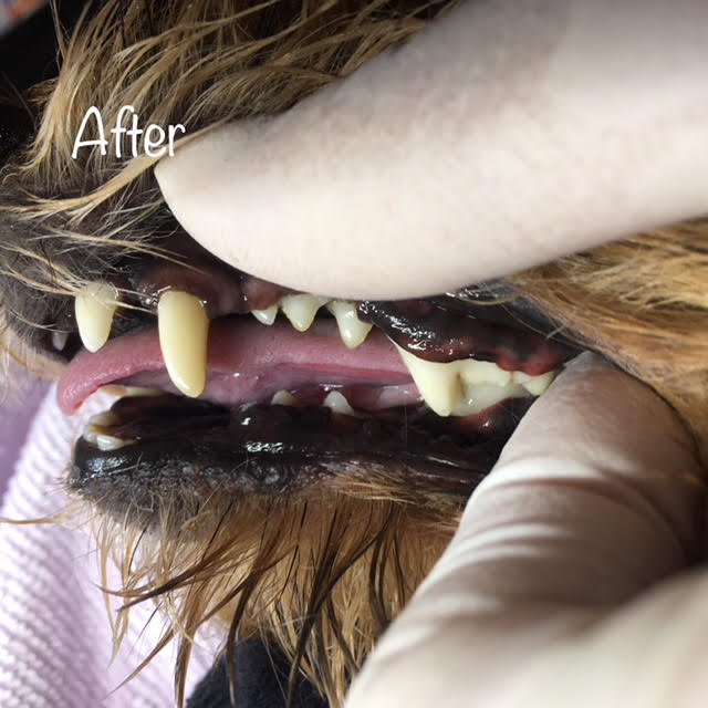 After After