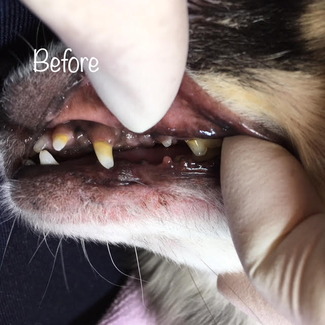 Before Before