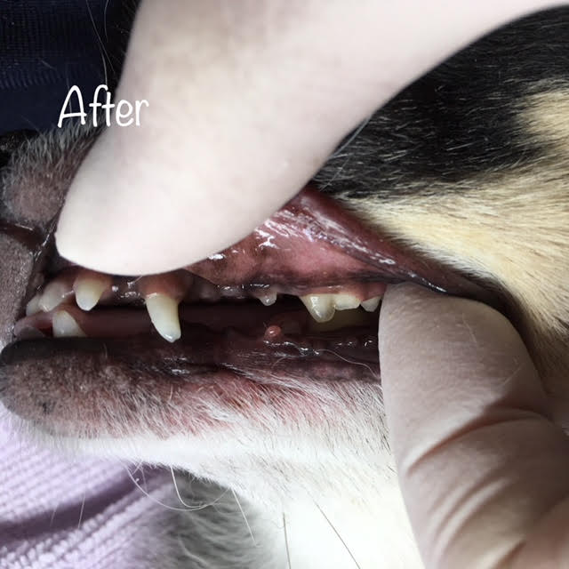 After After