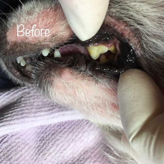 Before Before