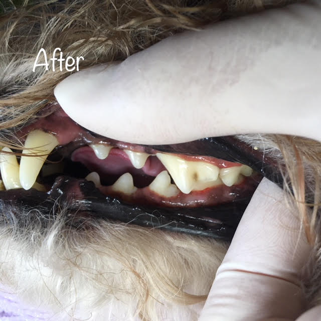 After After