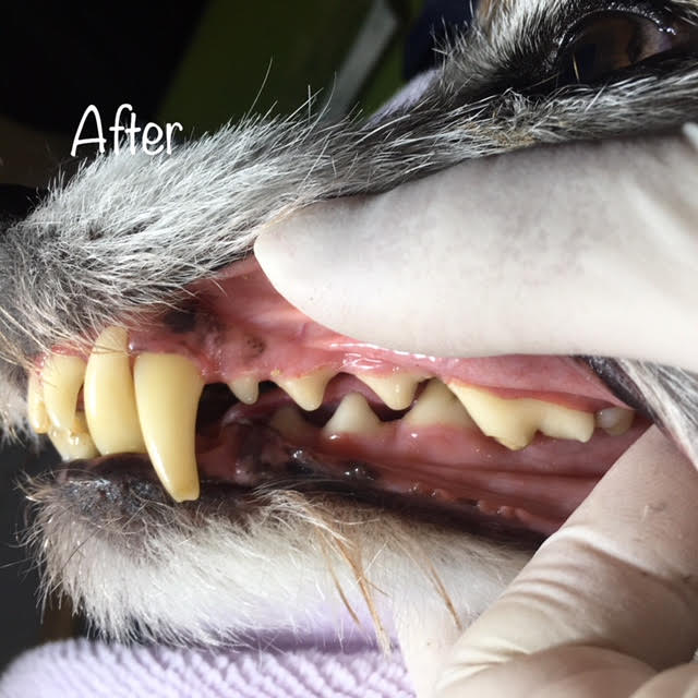 After After