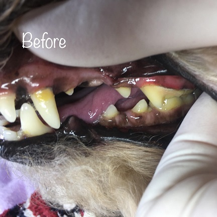 Before Before