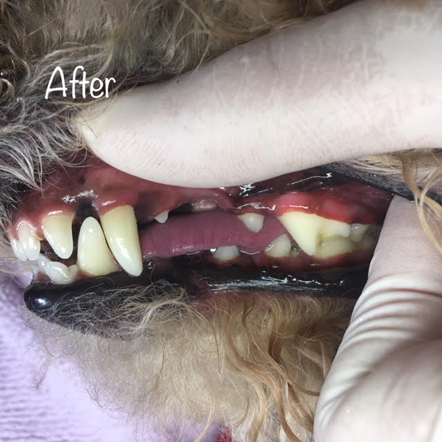 After After