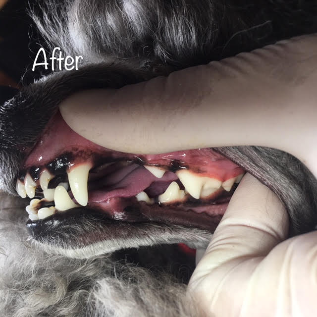 After After