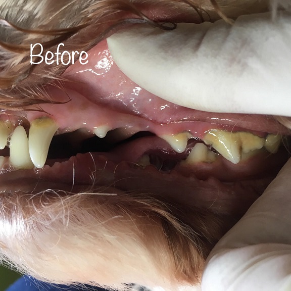 Before Before