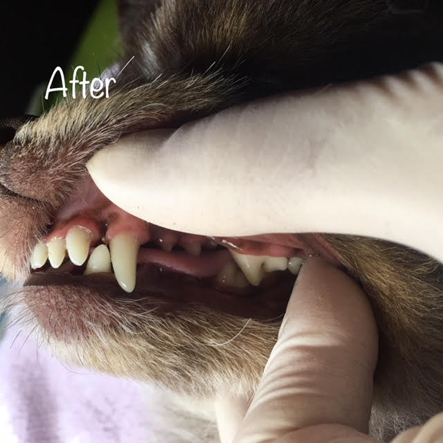 After After