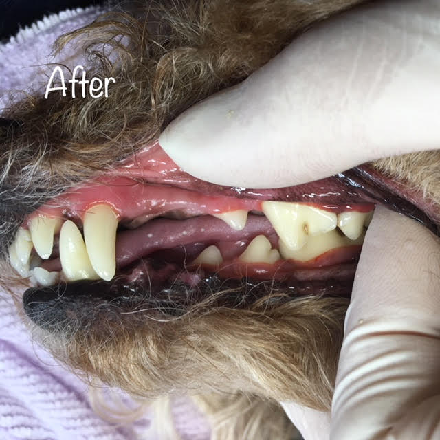 After After